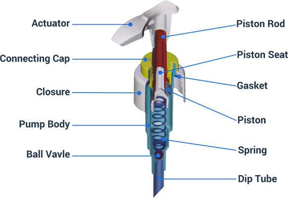 the inside structure view of a Lotion Pump